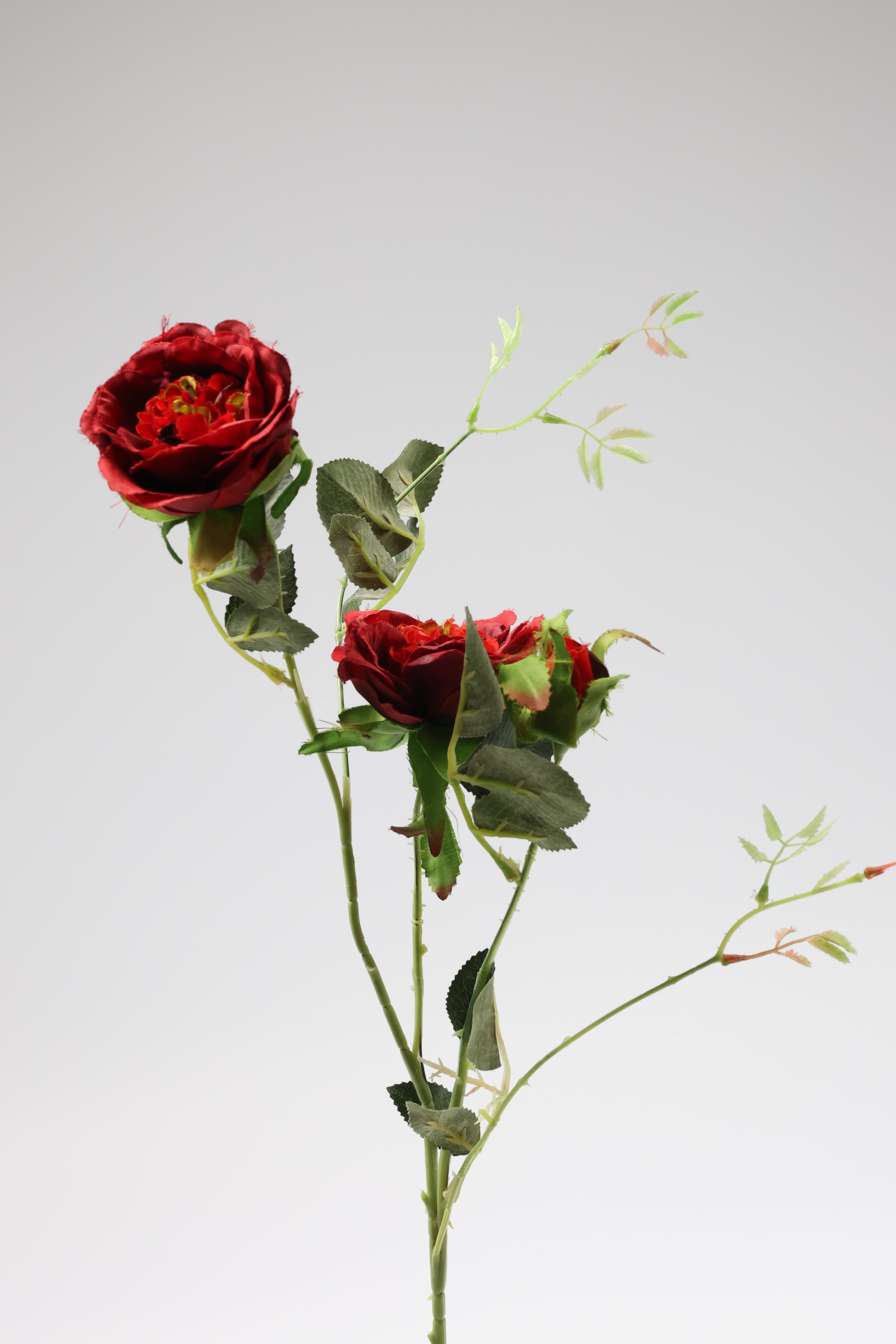 Red Rose  - 3 Lines - 3 Roses