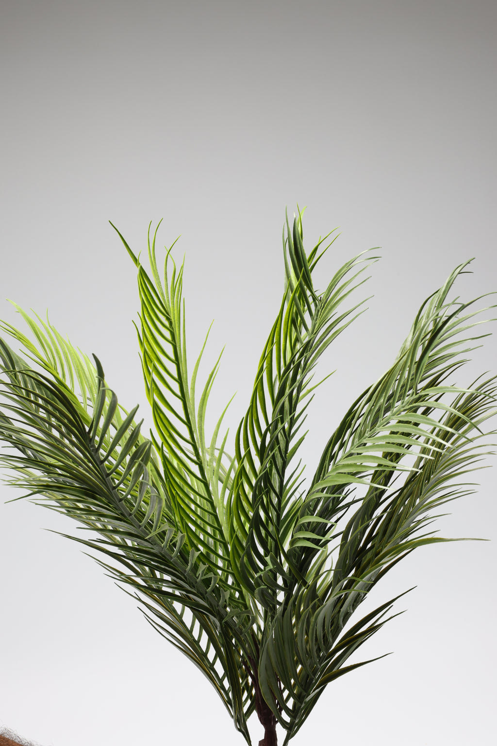 Caucasian- Green