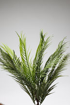 Caucasian- Green