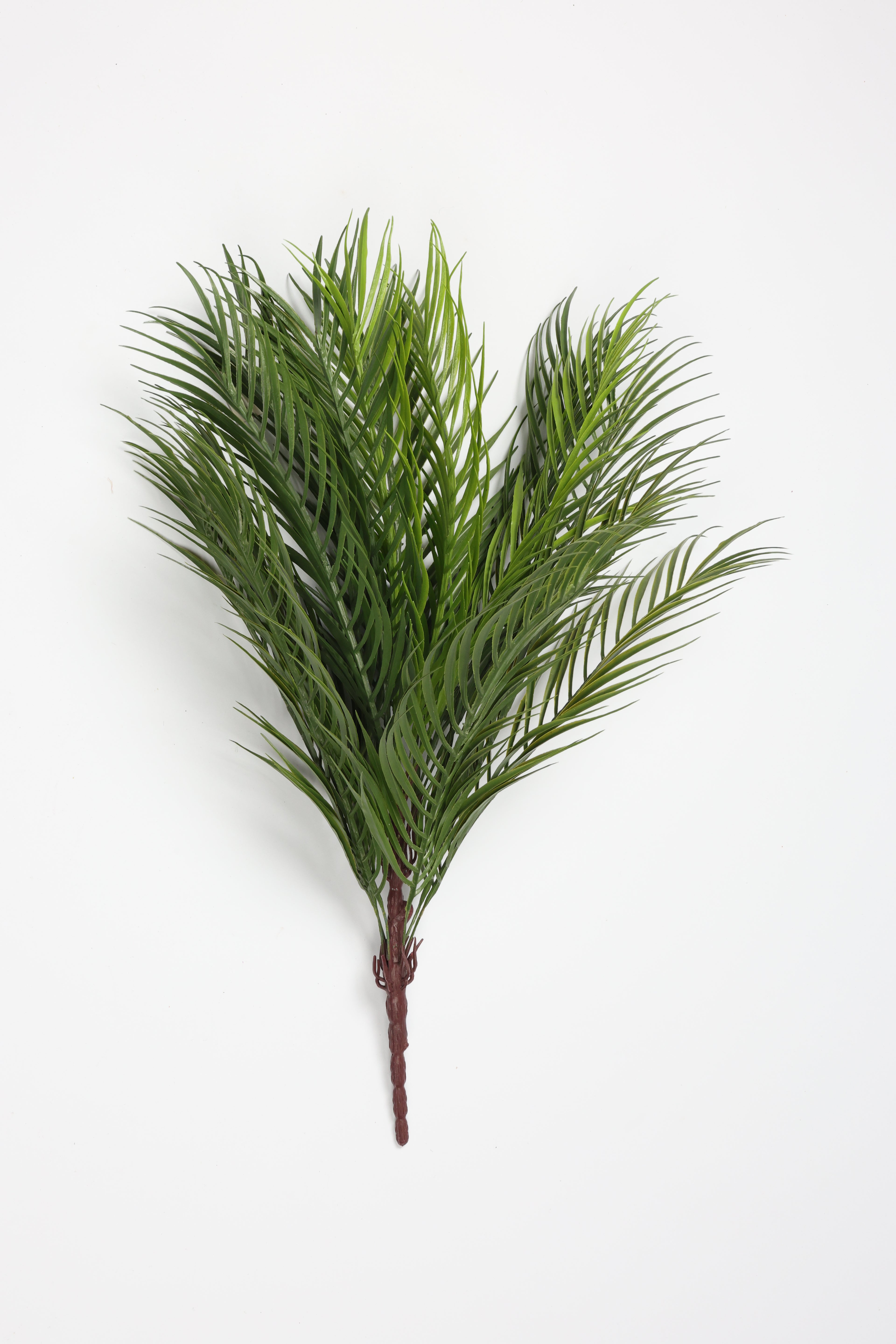 Caucasian- Green