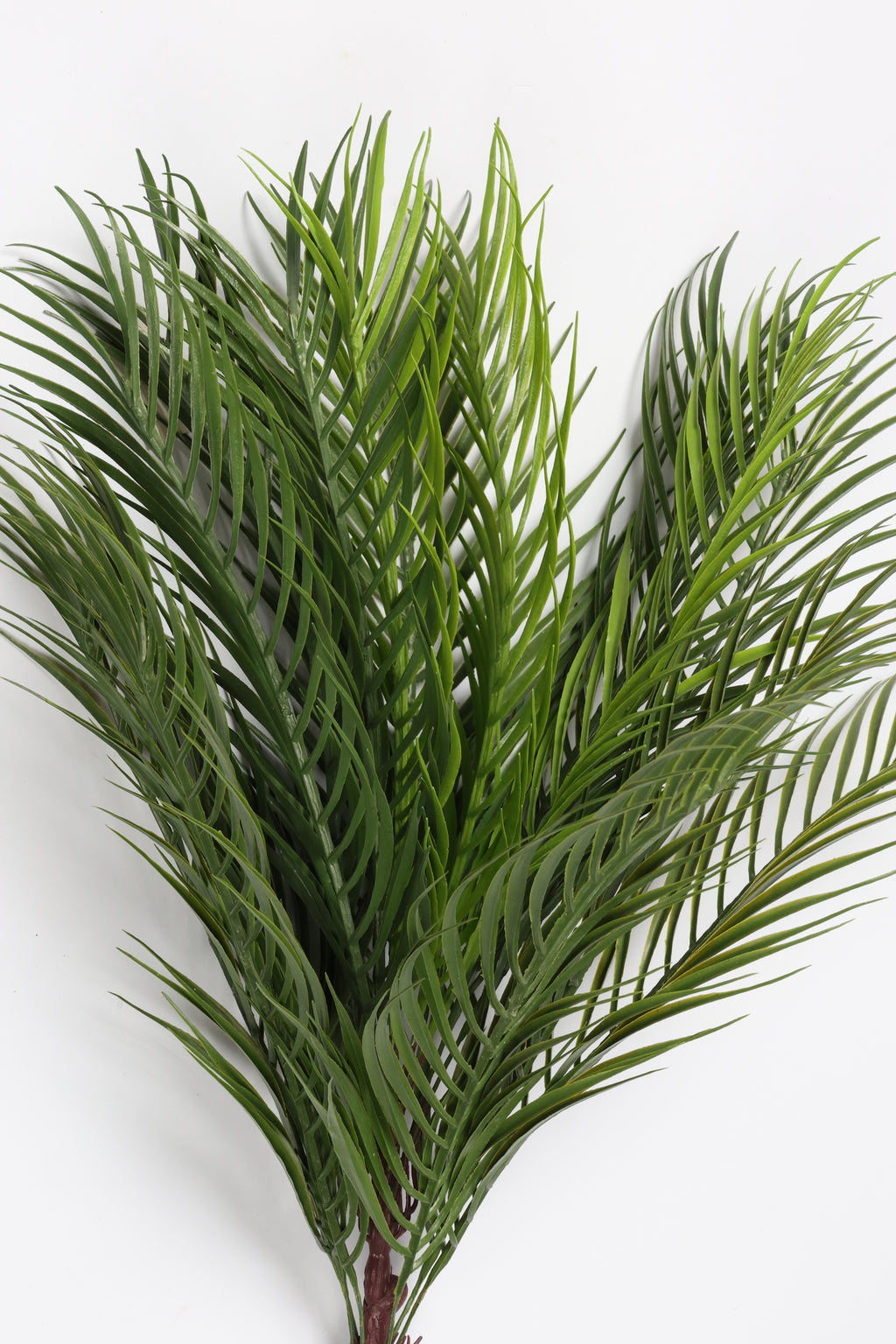 Caucasian- Green