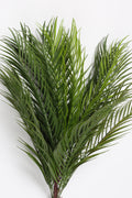 Caucasian- Green