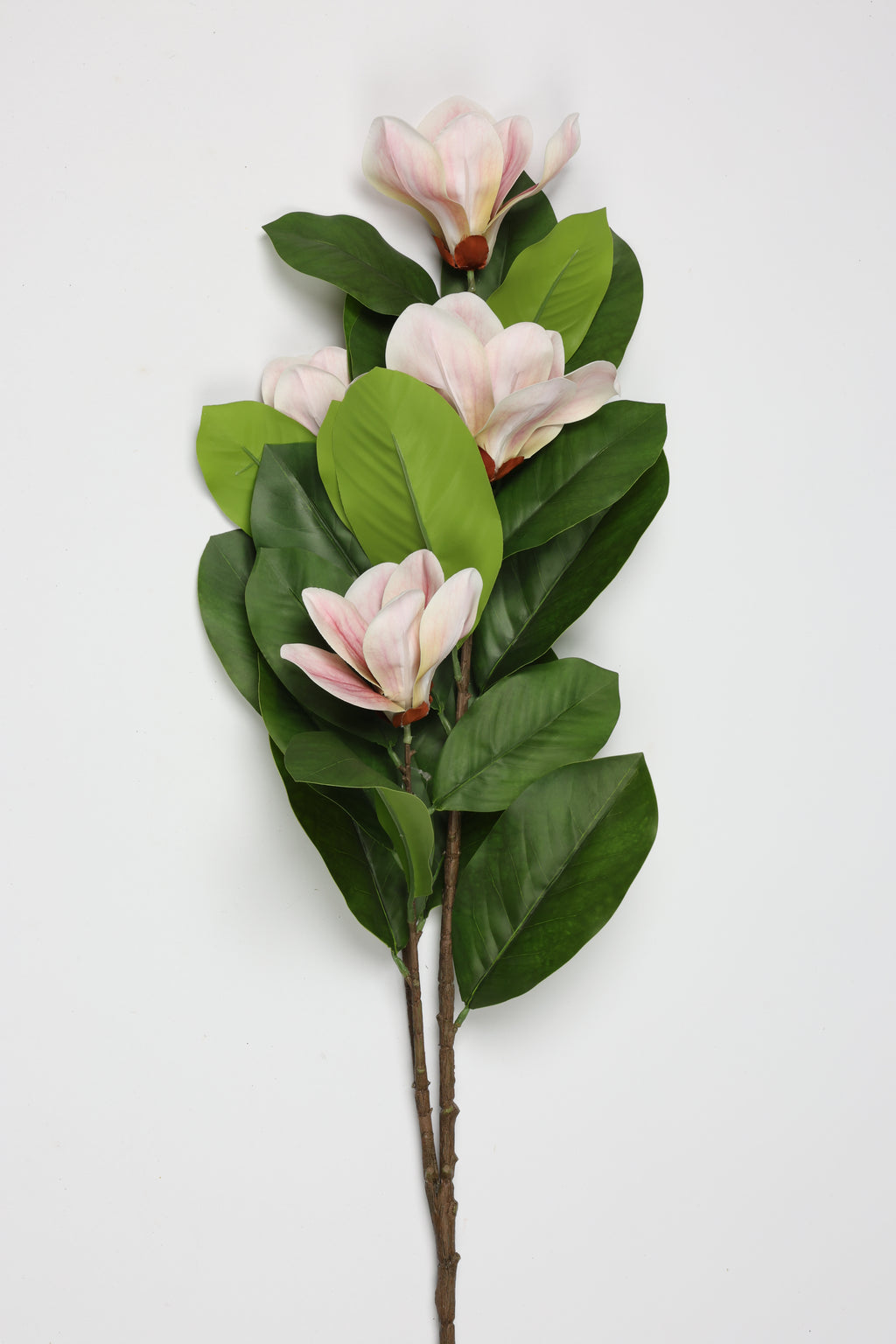 Magnolia- 4 Flowers -Hot Pink