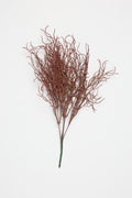 Sage-Burgundy