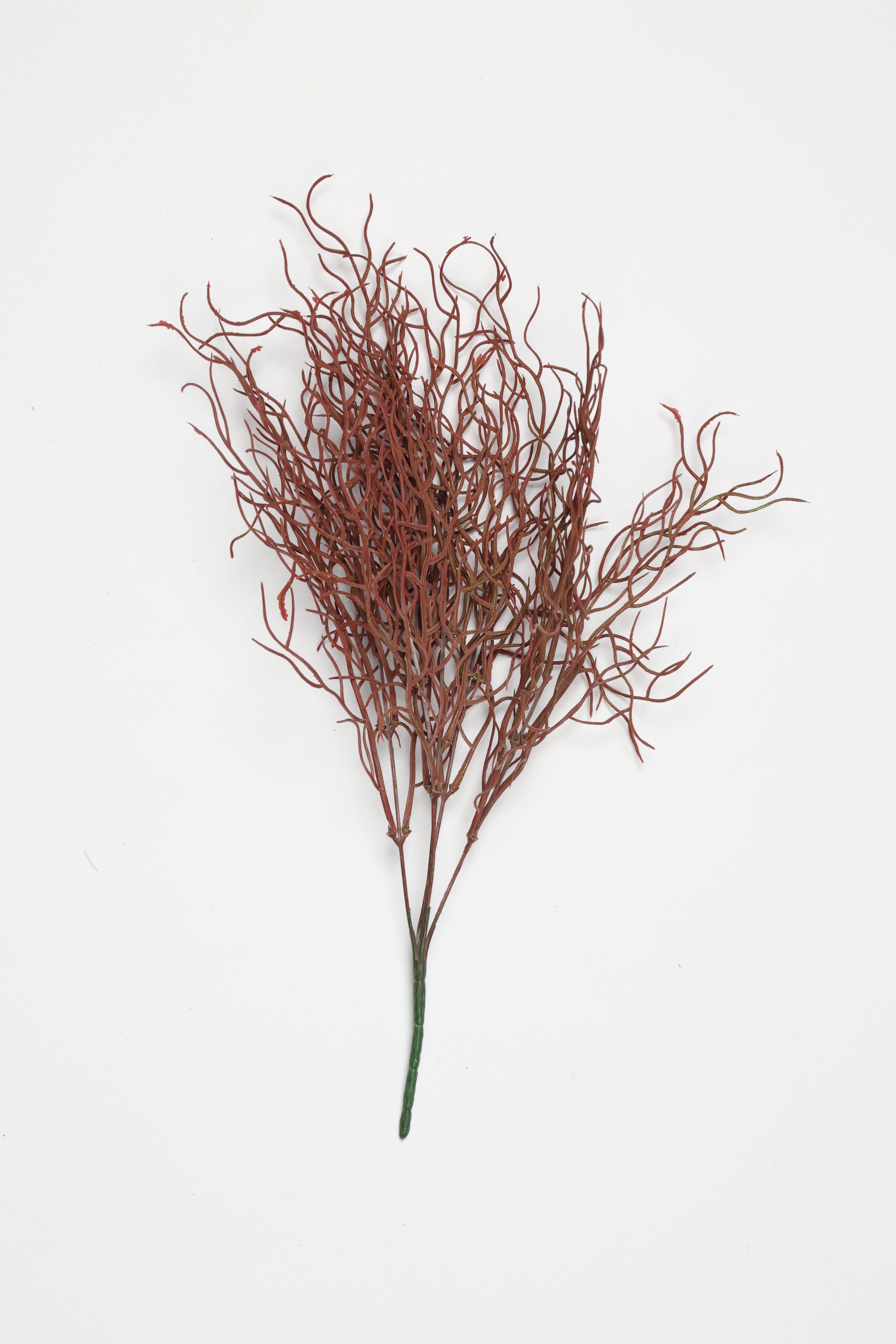 Sage-Burgundy