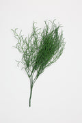 Sage-Green