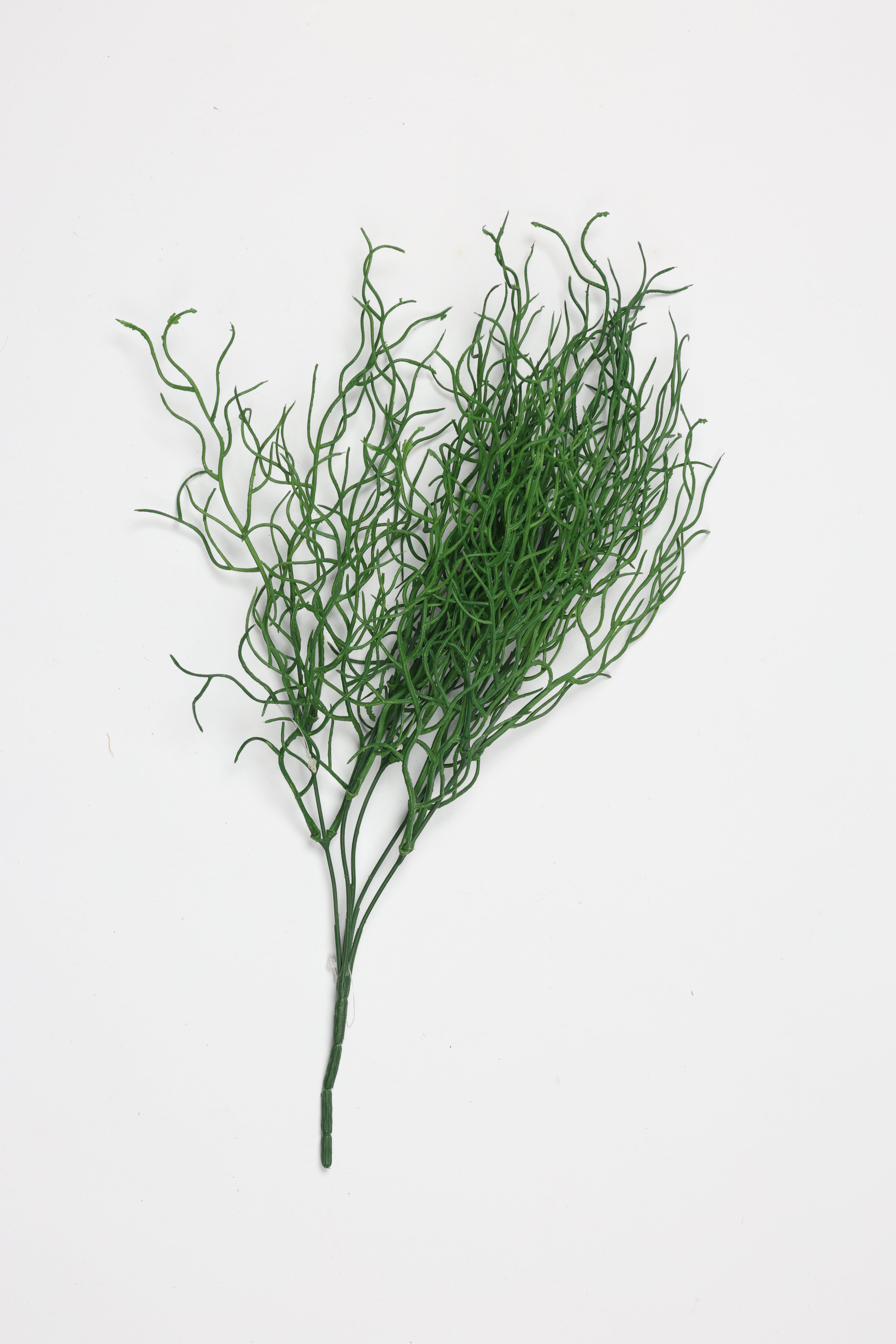 Sage-Green
