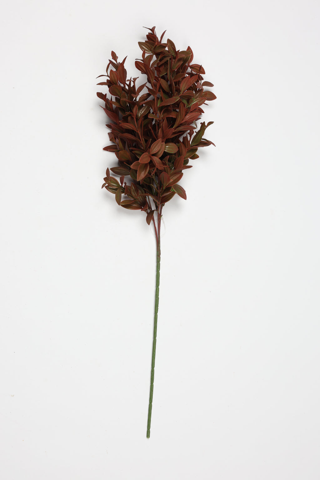 Mini Privet Leaf -Burgundy