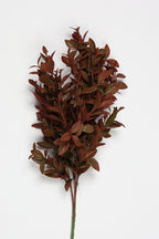 Mini Privet Leaf -Burgundy