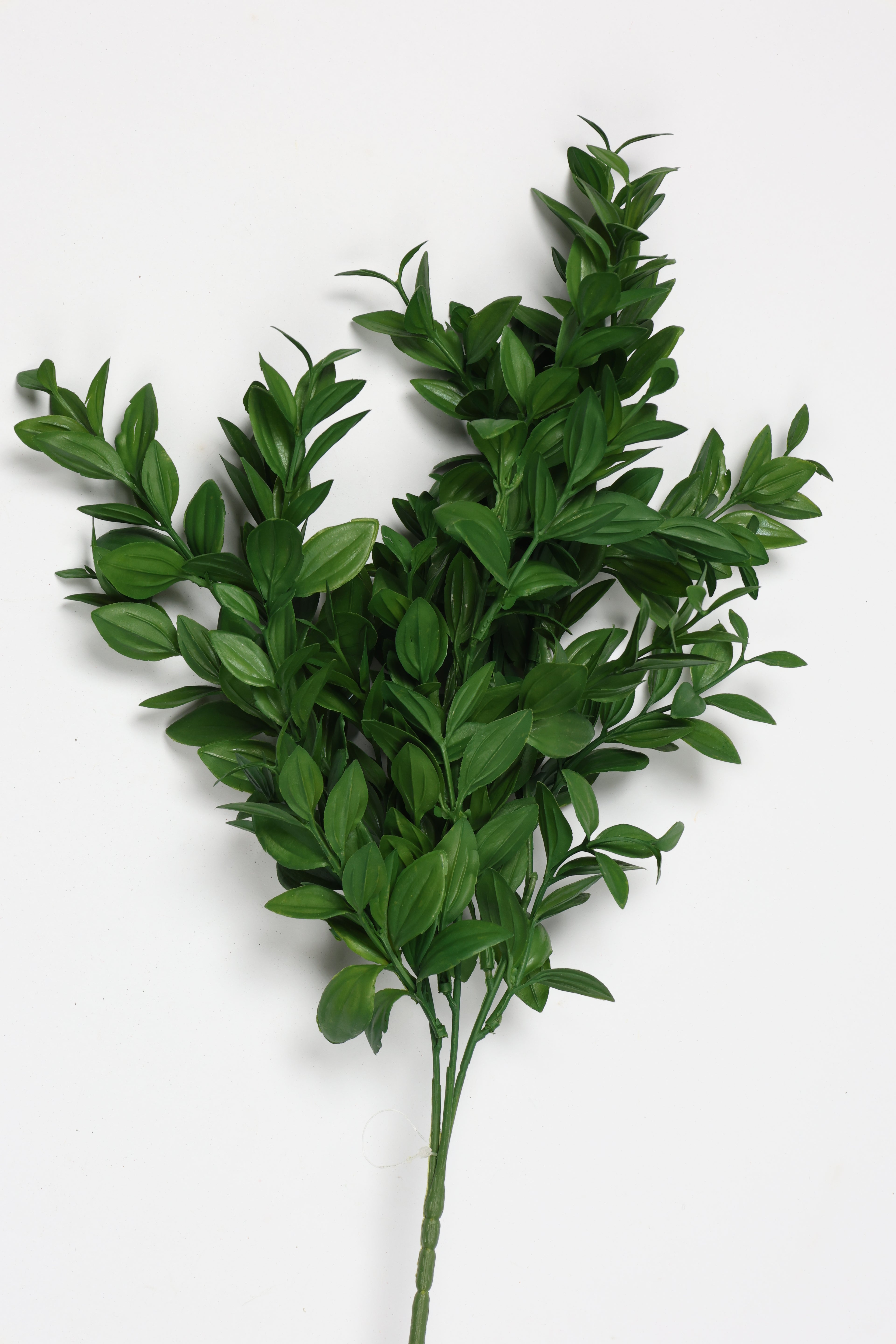 Mini Privet Leaf - Green
