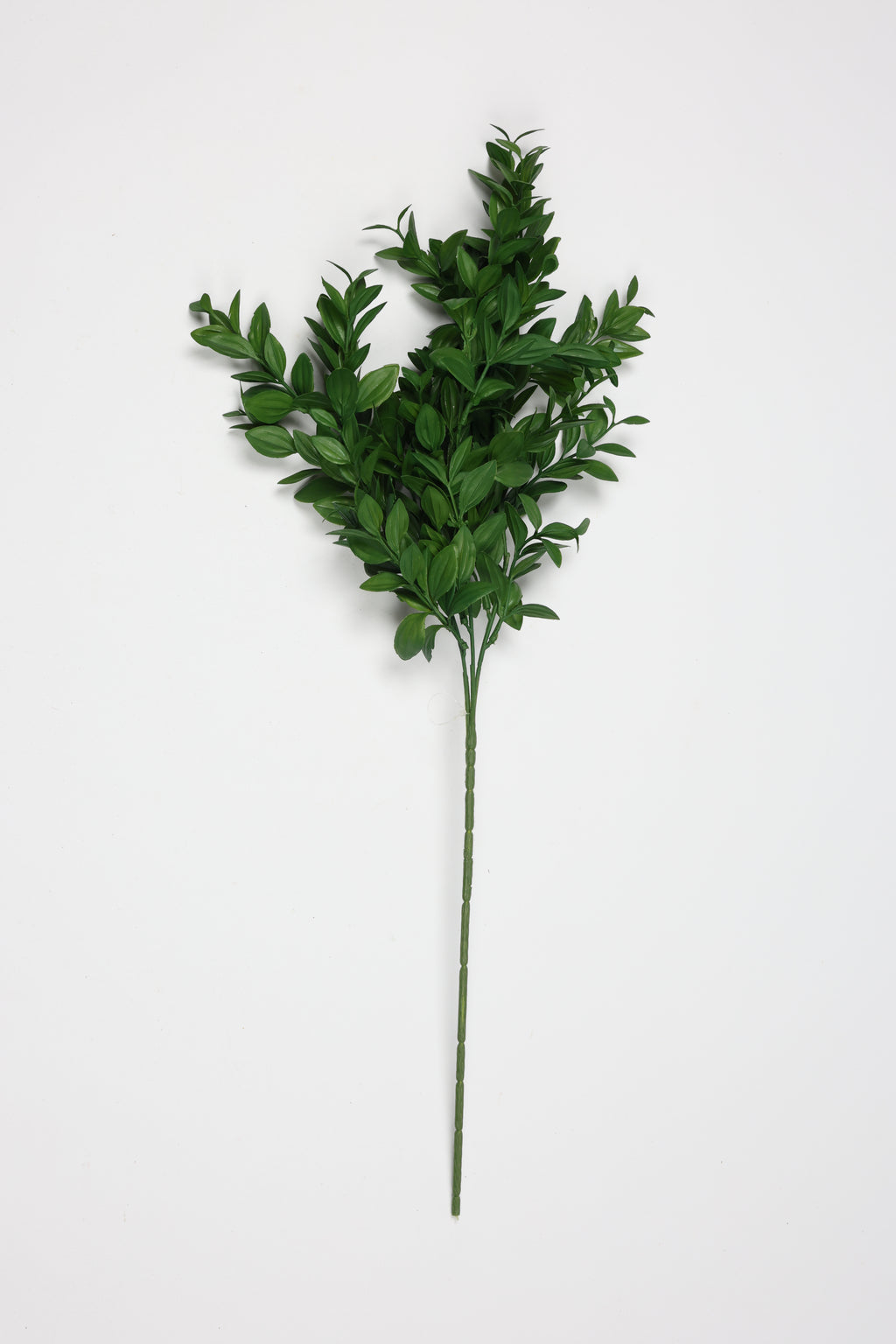 Mini Privet Leaf - Green