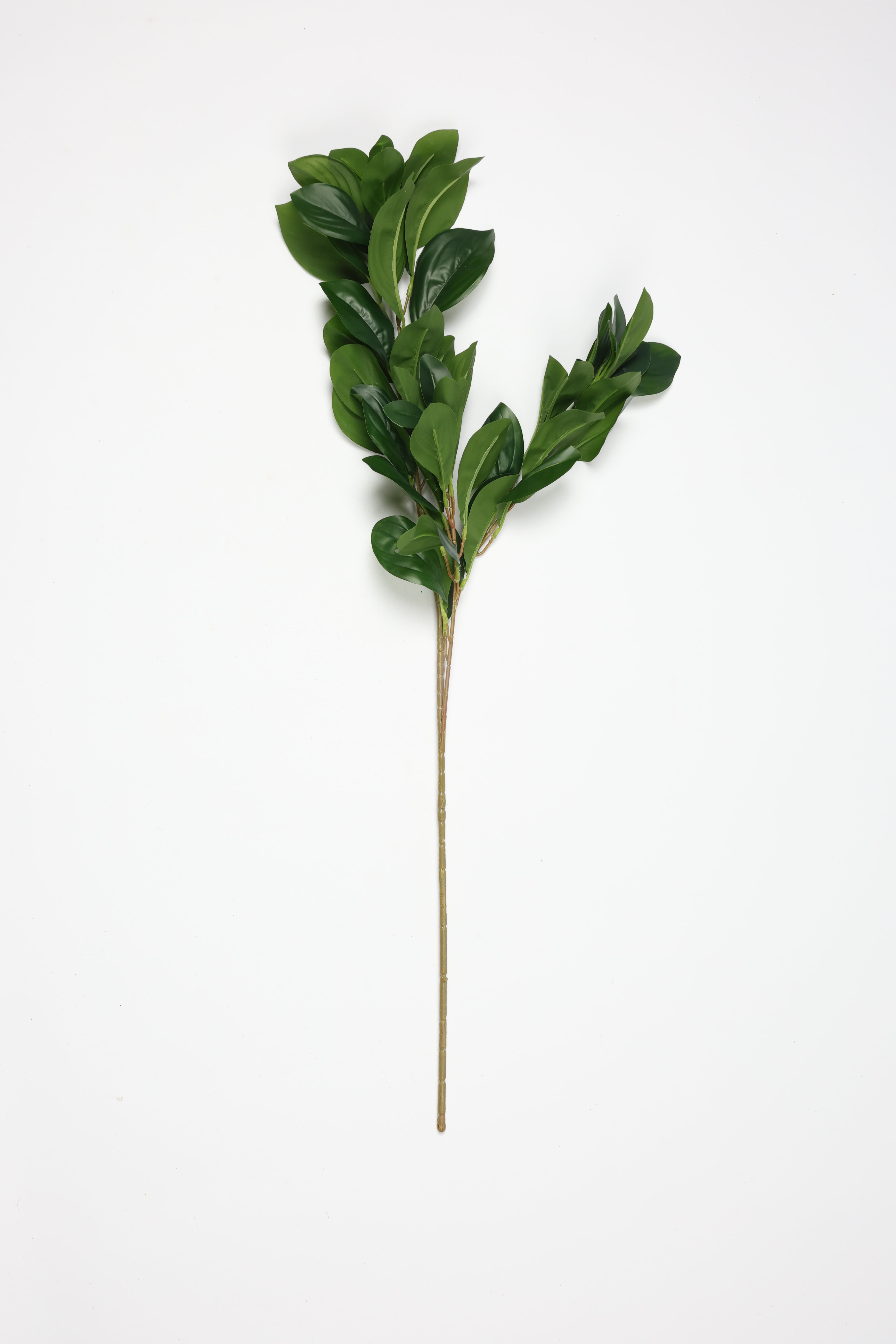 Lemon Leaf - Green Large