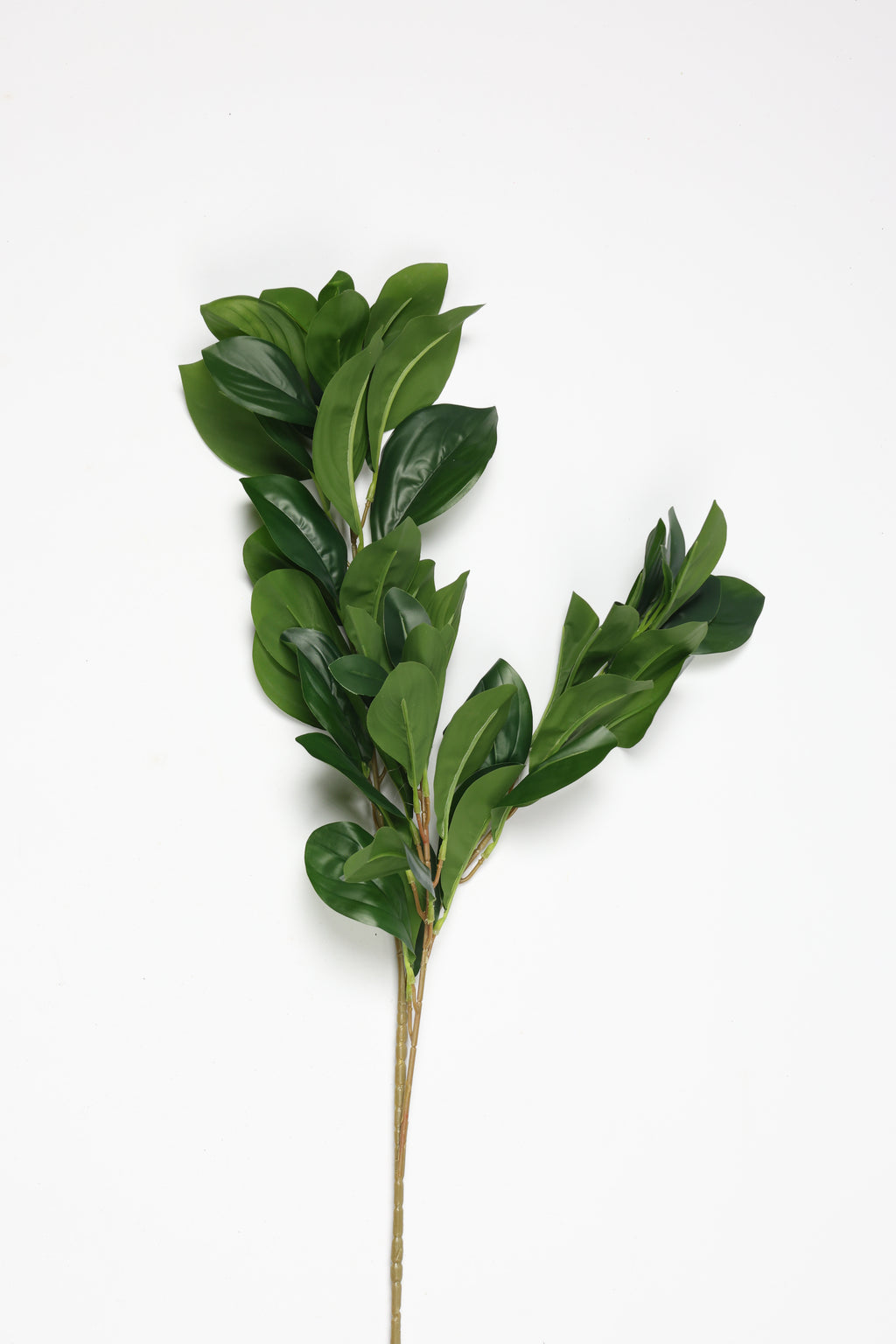 Lemon Leaf - Green Large