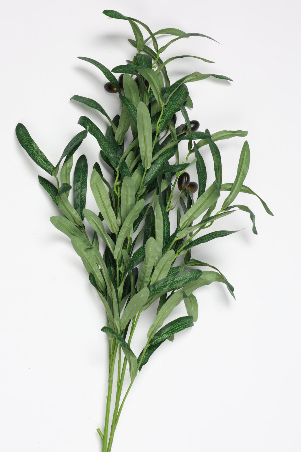 Olive Leaves - Green