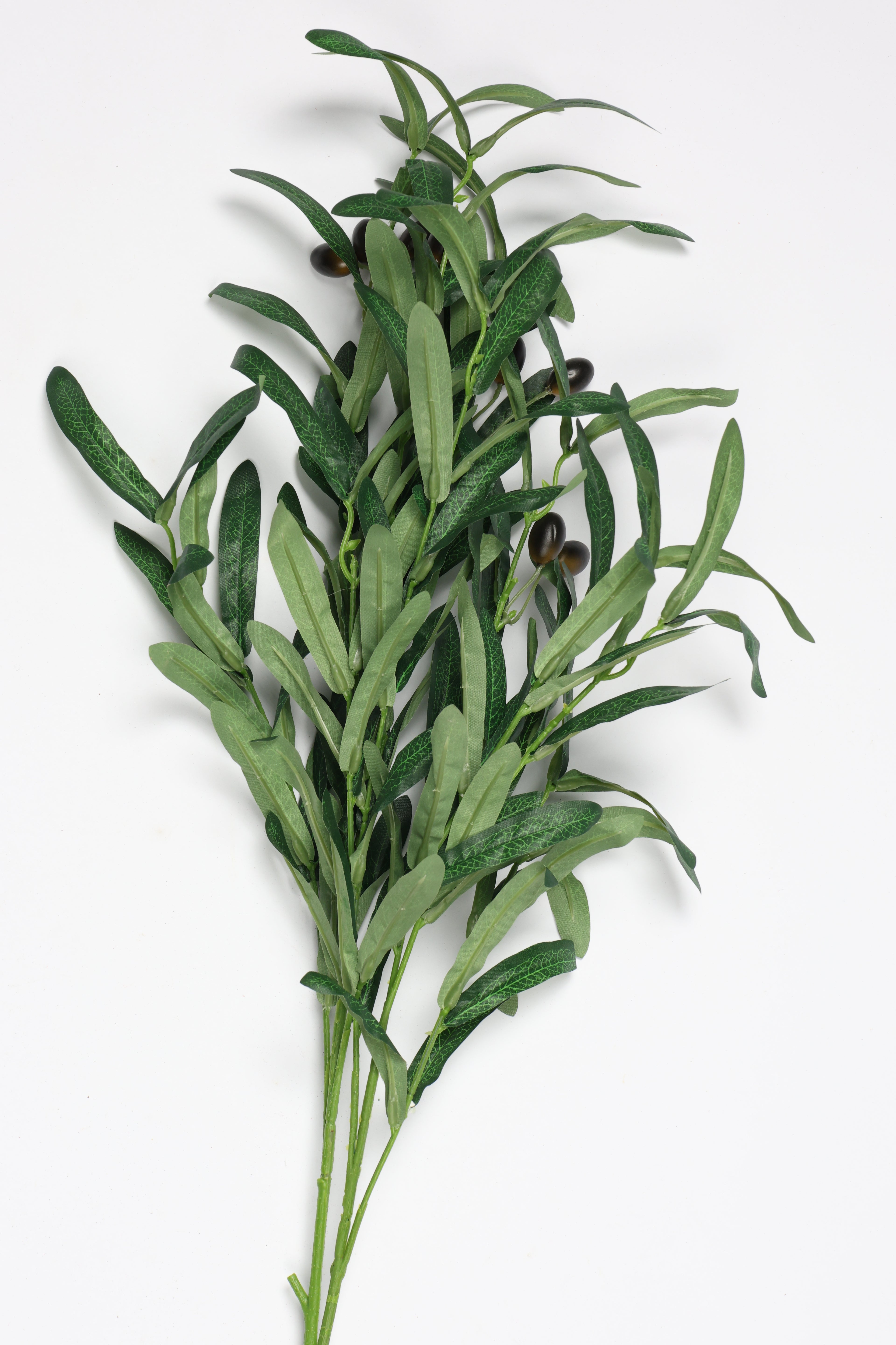 Olive Leaves - Green