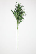 Olive Leaves - Green