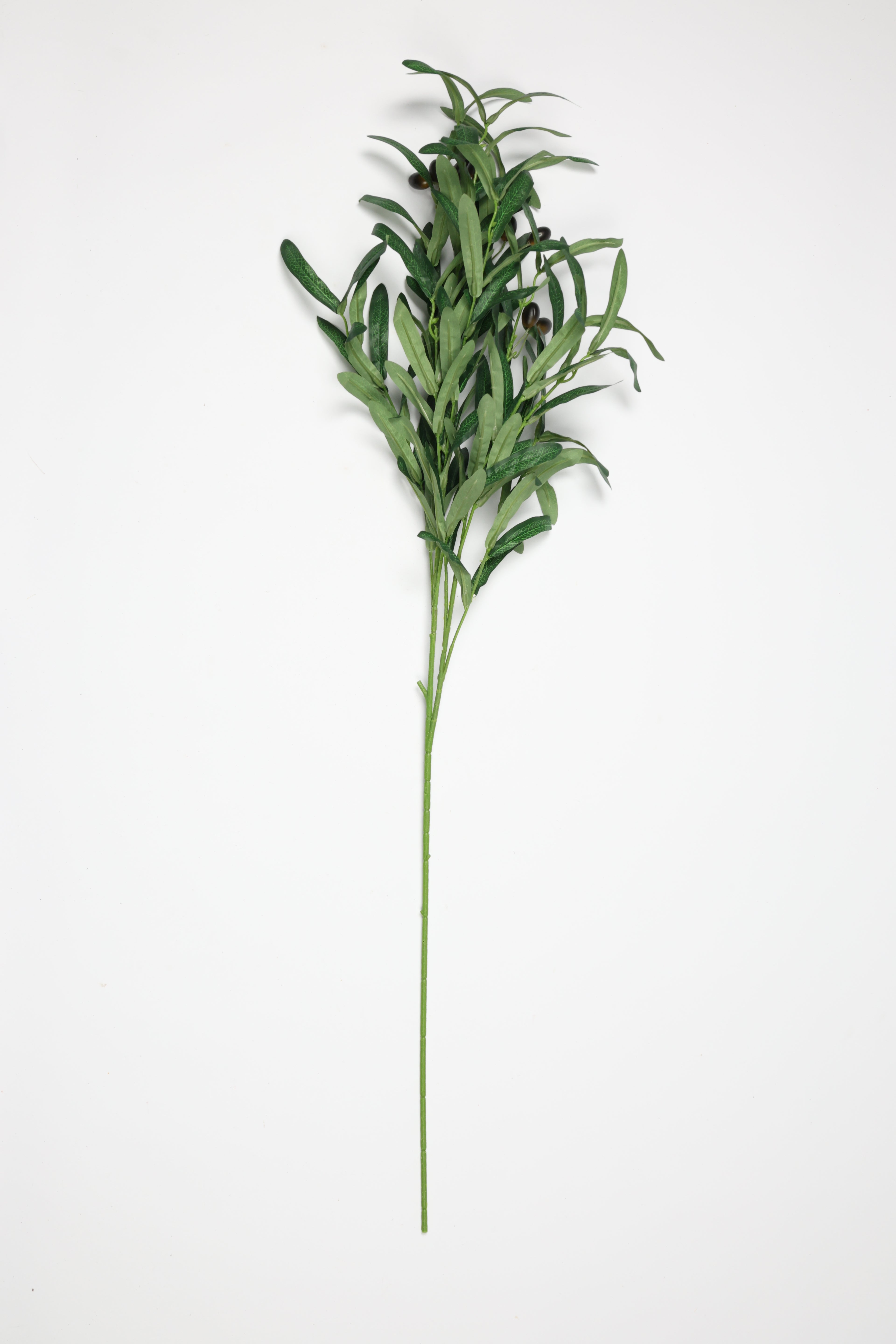 Olive Leaves - Green