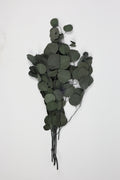 Eucalyptus- Green