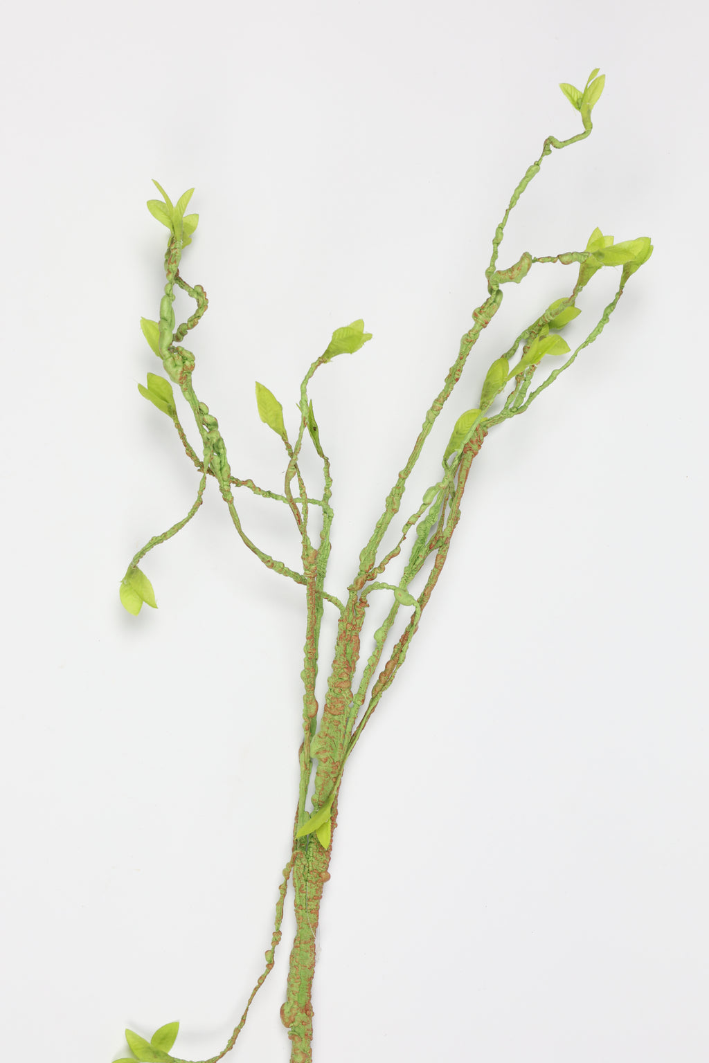 Mossy Twig-Yellow