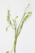 Mossy Twig-Yellow