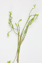 Mossy Twig-Yellow