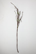 Mossy Twig - Brown*Green