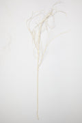 Mossy Twig- White