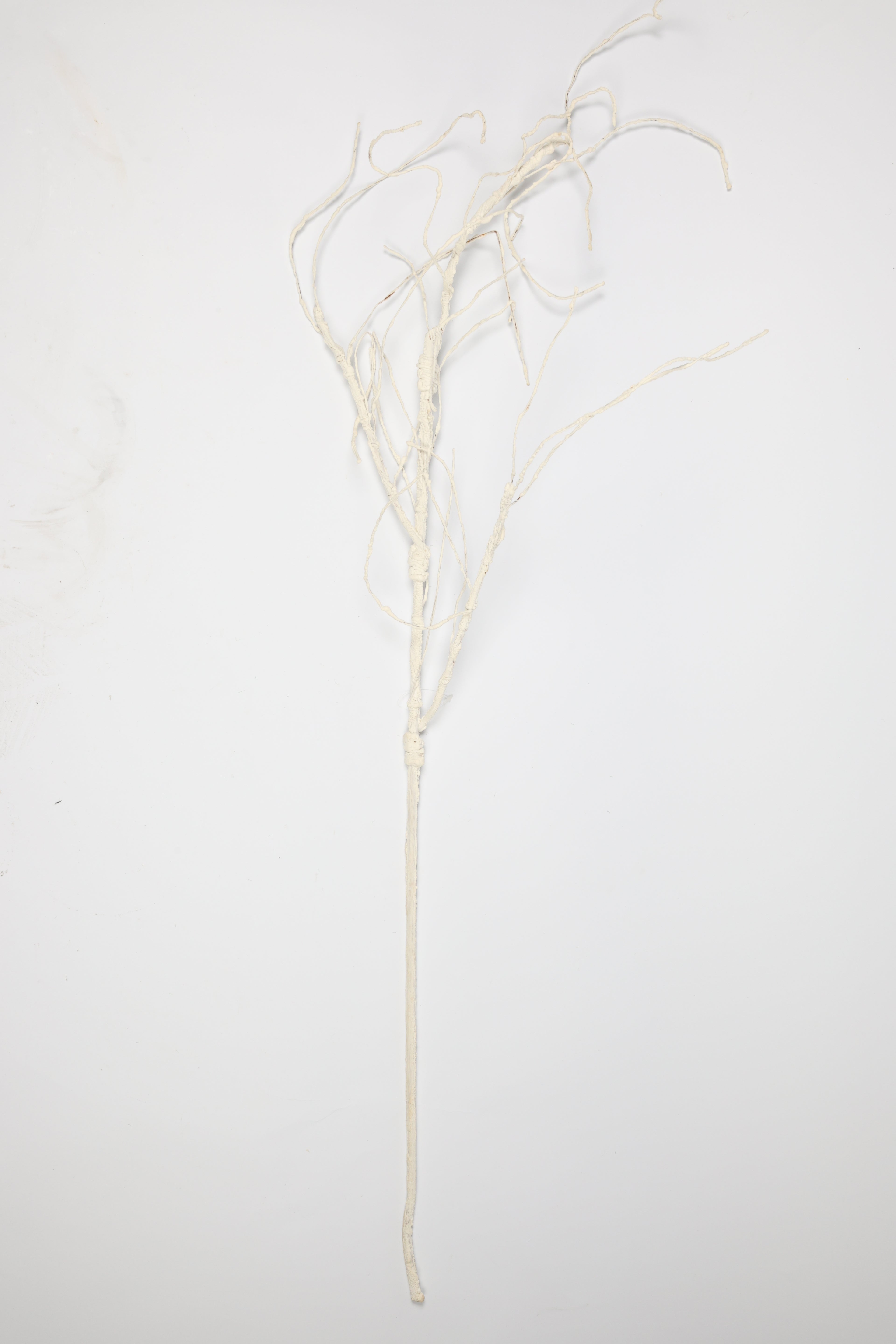 Mossy Twig- White