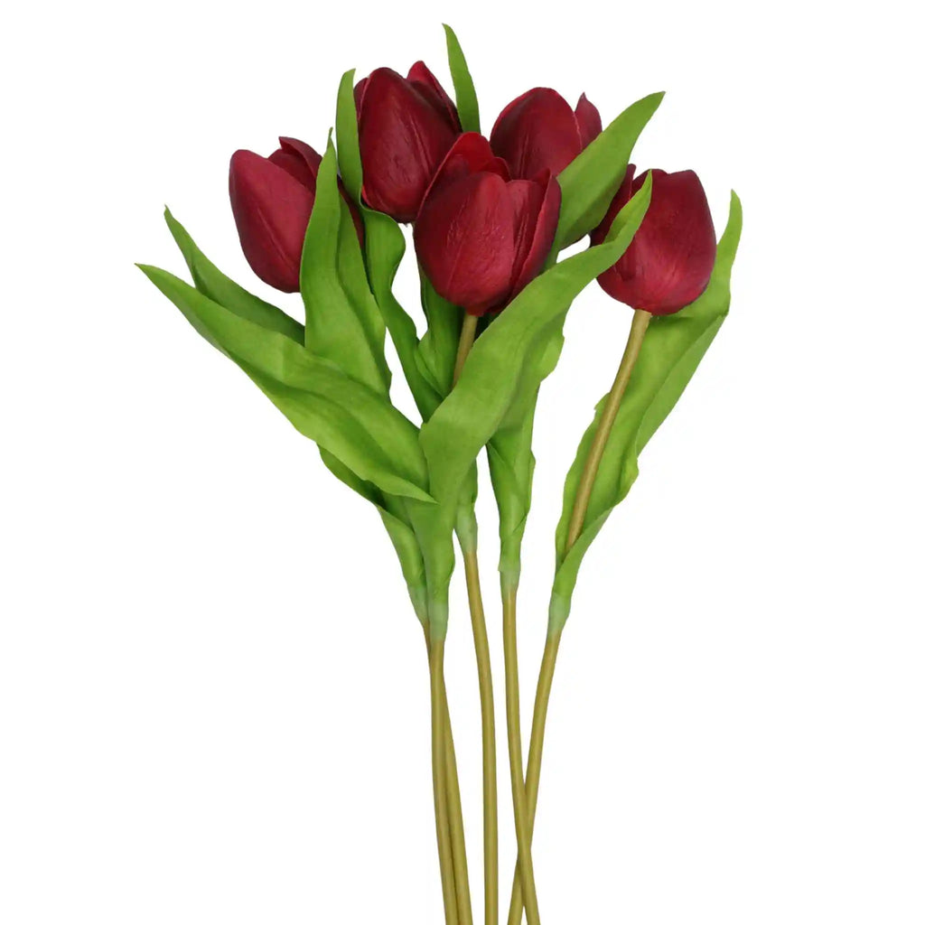 Tulip- Red