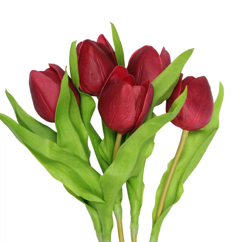 Tulip- Red