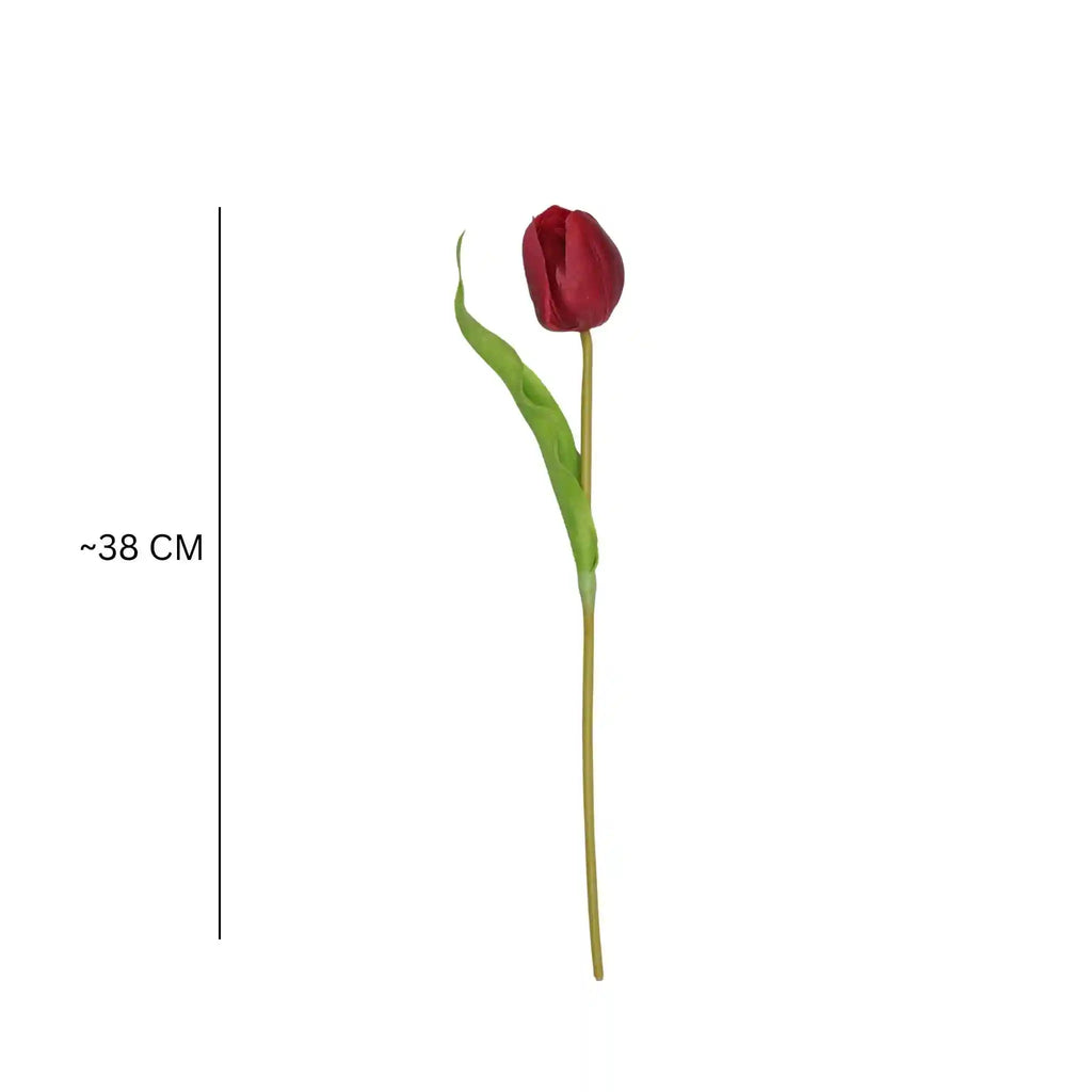 Tulip- Red